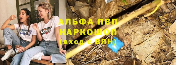 кокс Иннополис