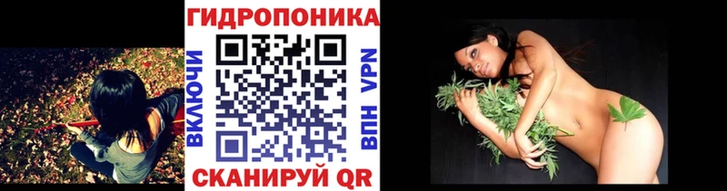 Купить где  Избербаш  Канабис конопля 